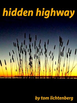 cover image of Hidden Highway